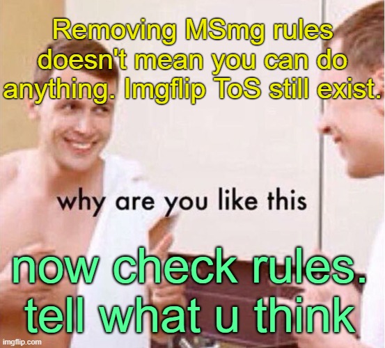 . | Removing MSmg rules doesn't mean you can do anything. Imgflip ToS still exist. now check rules. tell what u think | image tagged in why are you like this | made w/ Imgflip meme maker