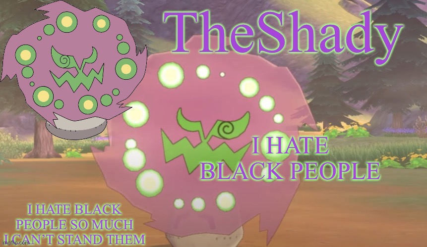 Racism rule gone | I HATE BLACK PEOPLE; I HATE BLACK PEOPLE SO MUCH I CAN’T STAND THEM | image tagged in theshady spiritomb temp | made w/ Imgflip meme maker