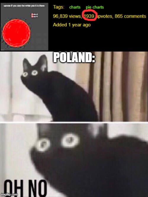 POLAND: | image tagged in oh no cat | made w/ Imgflip meme maker