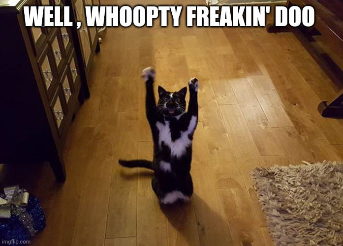 Yipeee cat | WELL , WHOOPTY FREAKIN' DOO | image tagged in yipeee cat | made w/ Imgflip meme maker