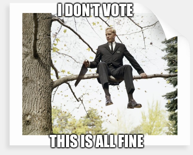 It's okay | I DON'T VOTE; THIS IS ALL FINE | image tagged in it's okay,voting,american politics | made w/ Imgflip meme maker