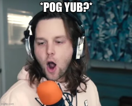 #pogyub | *POG YUB?* | image tagged in yub,pog | made w/ Imgflip meme maker