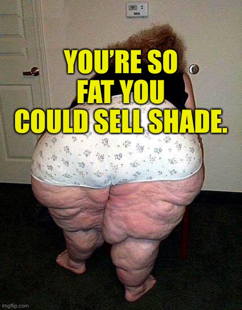 Fat lady | YOU’RE SO FAT YOU COULD SELL SHADE. | image tagged in fat people,so fat,sell,shade,insults | made w/ Imgflip meme maker