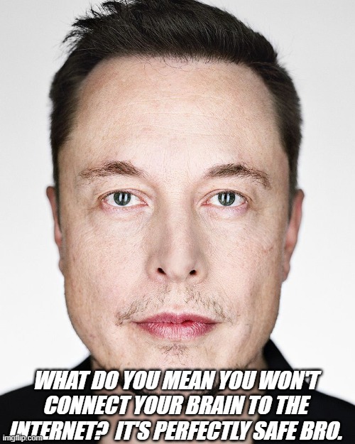 "I'm in" -movie hacker | WHAT DO YOU MEAN YOU WON'T CONNECT YOUR BRAIN TO THE INTERNET?  IT'S PERFECTLY SAFE BRO. | image tagged in rmk,elon musk | made w/ Imgflip meme maker