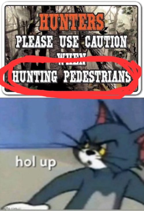 Hol  up | image tagged in ckfkri,hol up | made w/ Imgflip meme maker