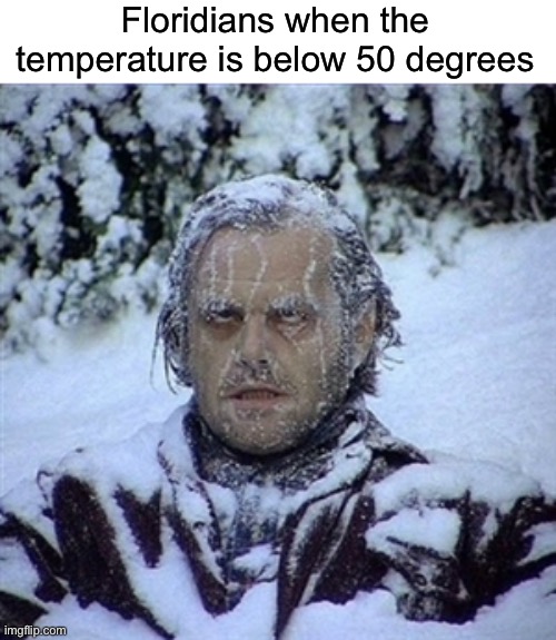 Floridaphobia | Floridians when the temperature is below 50 degrees | image tagged in frozen guy | made w/ Imgflip meme maker