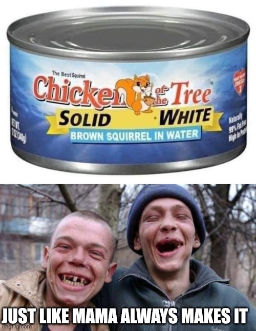 CAN OF SQUIRREL | JUST LIKE MAMA ALWAYS MAKES IT | image tagged in no teeth,squirrel,fake | made w/ Imgflip meme maker