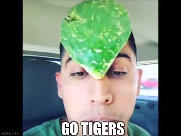 GO TIGERS | made w/ Imgflip meme maker