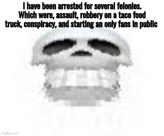 Skl | I have been arrested for several felonies. Which were, assault, robbery on a taco food truck, conspiracy, and starting an only fans in public | image tagged in skl | made w/ Imgflip meme maker