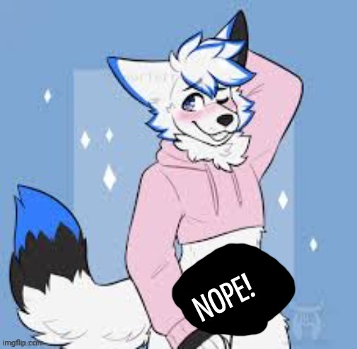 Femboy furry | NOPE! | image tagged in femboy furry | made w/ Imgflip meme maker