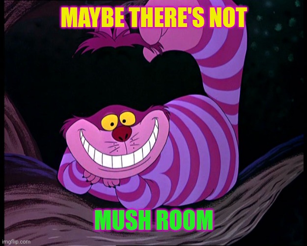 Cheshire Cat | MAYBE THERE'S NOT MUSH ROOM | image tagged in cheshire cat | made w/ Imgflip meme maker