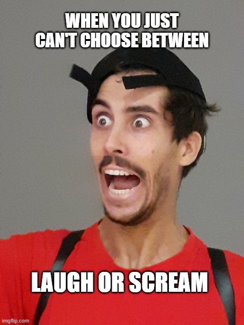 When you can't choose between laugh or scream | WHEN YOU JUST CAN'T CHOOSE BETWEEN; LAUGH OR SCREAM | image tagged in this makes no ducking sense,malolmao,laugh and scream,when you,when you can't | made w/ Imgflip meme maker