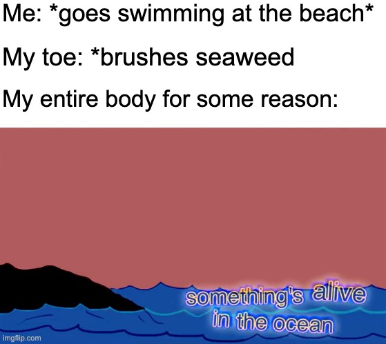 *Swims faster so the seaweed can't catch me* | Me: *goes swimming at the beach*; My toe: *brushes seaweed; My entire body for some reason: | image tagged in blank white template,something s alive in the ocean,memes,funny,funny memes | made w/ Imgflip meme maker
