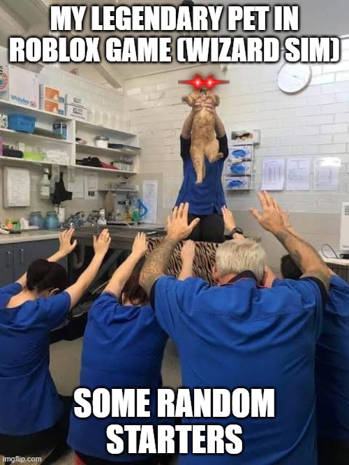 People Worshipping The Cat | MY LEGENDARY PET IN ROBLOX GAME (WIZARD SIM); SOME RANDOM STARTERS | image tagged in people worshipping the cat | made w/ Imgflip meme maker