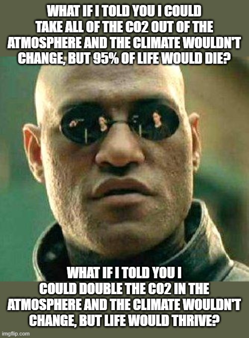 That's not denial, that's just real science. | WHAT IF I TOLD YOU I COULD TAKE ALL OF THE CO2 OUT OF THE ATMOSPHERE AND THE CLIMATE WOULDN'T CHANGE, BUT 95% OF LIFE WOULD DIE? WHAT IF I TOLD YOU I COULD DOUBLE THE CO2 IN THE ATMOSPHERE AND THE CLIMATE WOULDN'T CHANGE, BUT LIFE WOULD THRIVE? | image tagged in what if i told you | made w/ Imgflip meme maker