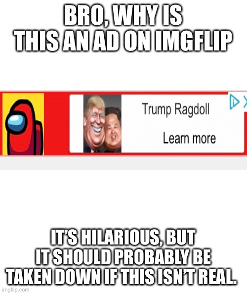 What the heck did I just find? | BRO, WHY IS THIS AN AD ON IMGFLIP; IT’S HILARIOUS, BUT IT SHOULD PROBABLY BE TAKEN DOWN IF THIS ISN’T REAL. | image tagged in white rectangle,donald trump,among us,sus,bruh moment | made w/ Imgflip meme maker