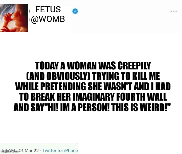 Soros Twitter template | FETUS
@WOMB TODAY A WOMAN WAS CREEPILY (AND OBVIOUSLY) TRYING TO KILL ME WHILE PRETENDING SHE WASN'T AND I HAD TO BREAK HER IMAGINARY FOURTH | image tagged in soros twitter template | made w/ Imgflip meme maker