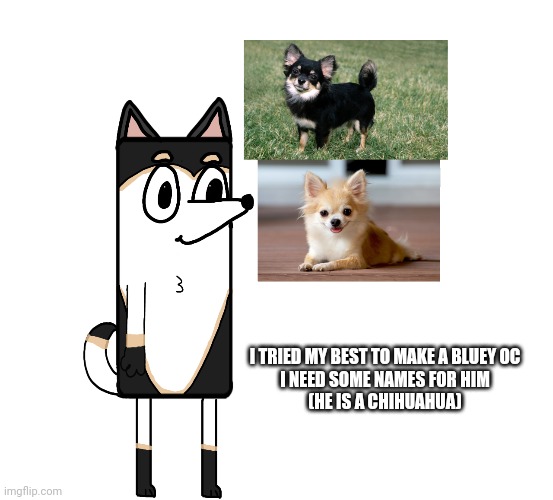 Give him a name (end July 16) | I TRIED MY BEST TO MAKE A BLUEY OC
I NEED SOME NAMES FOR HIM
(HE IS A CHIHUAHUA) | made w/ Imgflip meme maker