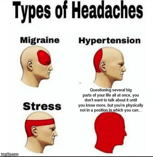 I have a headache while making this! | Questioning several big parts of your life all at once, you don't want to talk about it until you know more, but you're physically not in a position in which you can... | image tagged in types of headaches meme,the truth,memes | made w/ Imgflip meme maker