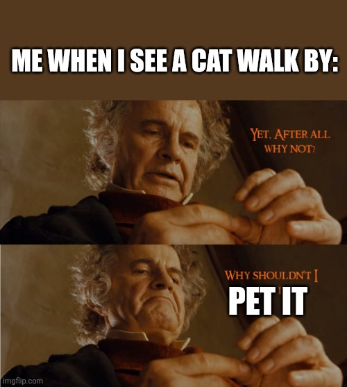 Yet after all why not why shouldn't I keep it | ME WHEN I SEE A CAT WALK BY:; PET IT | image tagged in yet after all why not why shouldn't i keep it | made w/ Imgflip meme maker