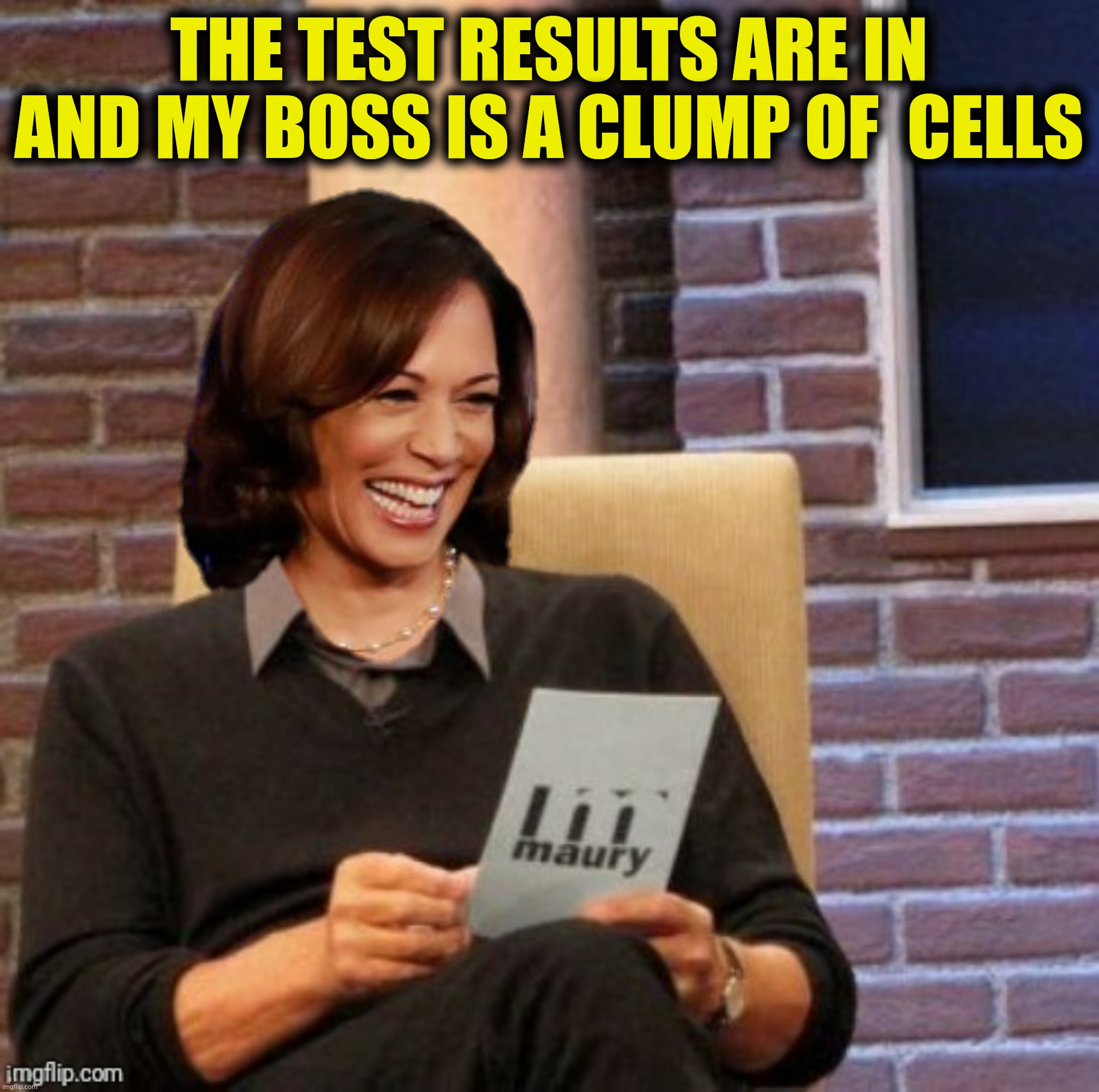 THE TEST RESULTS ARE IN AND MY BOSS IS A CLUMP OF  CELLS | made w/ Imgflip meme maker