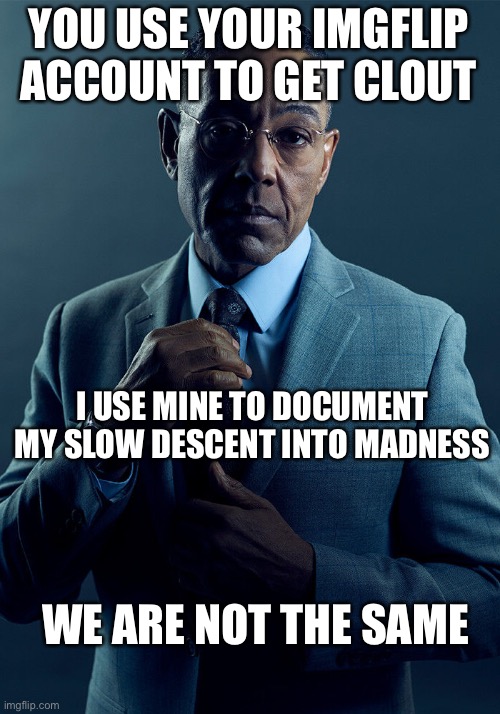 Gus Fring we are not the same | YOU USE YOUR IMGFLIP ACCOUNT TO GET CLOUT; I USE MINE TO DOCUMENT MY SLOW DESCENT INTO MADNESS; WE ARE NOT THE SAME | image tagged in gus fring we are not the same | made w/ Imgflip meme maker