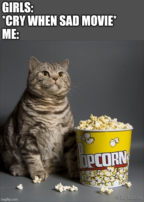 Cat eating popcorn | GIRLS: *CRY WHEN SAD MOVIE*
ME: | image tagged in cat eating popcorn | made w/ Imgflip meme maker