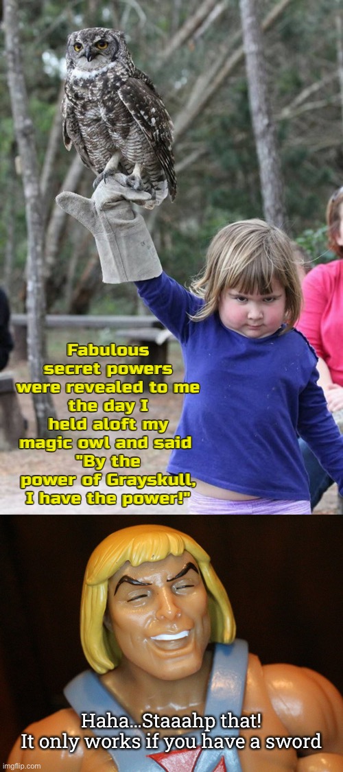 Fabulous secret powers were revealed to me
the day I held aloft my magic owl and said 
"By the power of Grayskull,
I have the power!"; Haha…Staaahp that!
It only works if you have a sword | image tagged in funny memes,he man,owls | made w/ Imgflip meme maker