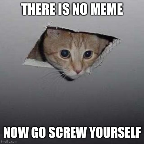 Ceiling Cat Meme | THERE IS NO MEME; NOW GO SCREW YOURSELF | image tagged in memes,ceiling cat | made w/ Imgflip meme maker