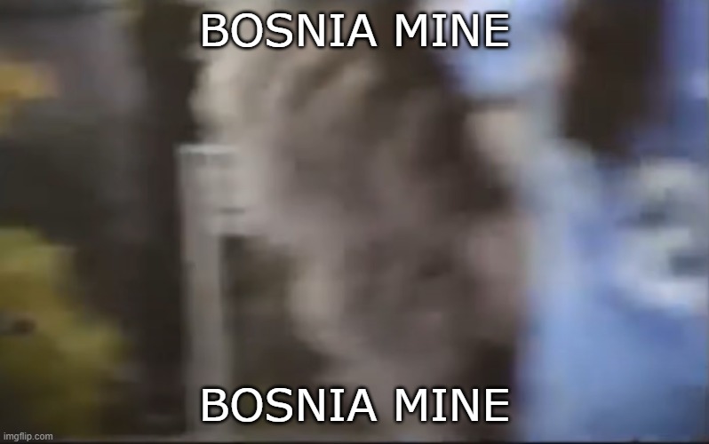 Kosovo je Serbja | BOSNIA MINE; BOSNIA MINE | image tagged in serbia | made w/ Imgflip meme maker