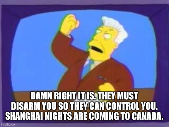 damn you | DAMN RIGHT IT IS. THEY MUST DISARM YOU SO THEY CAN CONTROL YOU. SHANGHAI NIGHTS ARE COMING TO CANADA. | image tagged in damn you | made w/ Imgflip meme maker