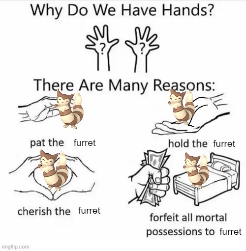 mainly number *** | furret; furret; furret; furret | image tagged in why do we have hands all blank,furret,meme | made w/ Imgflip meme maker