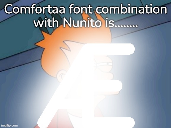 font combination of comfortaa and nunito are........ Æ? | Comfortaa font combination with Nunito is........ Æ | image tagged in memes,futurama fry | made w/ Imgflip meme maker