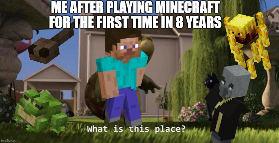What is this place | ME AFTER PLAYING MINECRAFT FOR THE FIRST TIME IN 8 YEARS | image tagged in what is this place | made w/ Imgflip meme maker