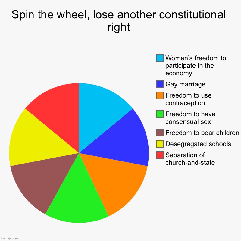 Incomplete list of rights which rely on “judicial activism” — only the last one appears in the text of the Constitution. | image tagged in spin the wheel lose another constitutional right,constitution,the constitution,equal rights,human rights,civil rights | made w/ Imgflip meme maker