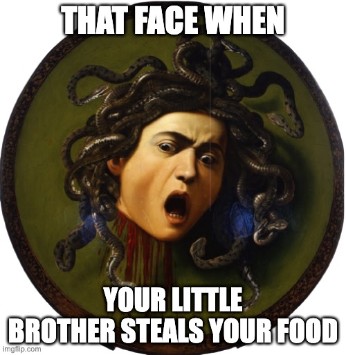that face | THAT FACE WHEN; YOUR LITTLE BROTHER STEALS YOUR FOOD | image tagged in scared face | made w/ Imgflip meme maker