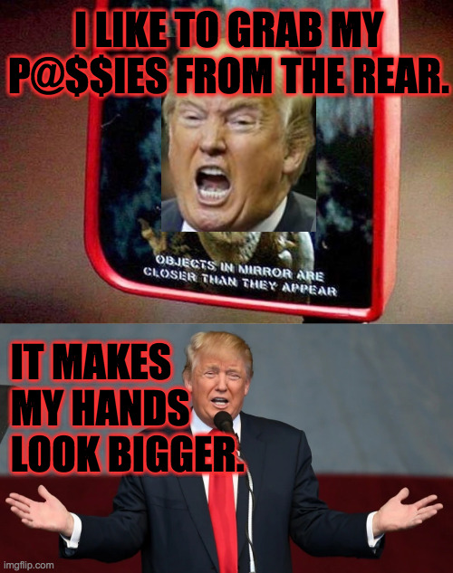This may be a direct quote.  I'm never sure with him. | I LIKE TO GRAB MY
P@$$IES FROM THE REAR. IT MAKES
 MY HANDS
 LOOK BIGGER. | image tagged in jurassic park reflection,memes,grabby boy | made w/ Imgflip meme maker