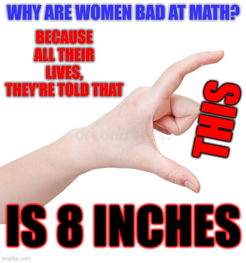 BECAUSE ALL THEIR LIVES, THEY'RE TOLD THAT; WHY ARE WOMEN BAD AT MATH? THIS; IS 8 INCHES | image tagged in blank white template,memes,actually funny feminist jokes | made w/ Imgflip meme maker