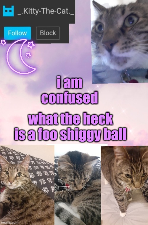 Kitty's Announcement Template | i am confused; what the heck is a foo shiggy ball | image tagged in kitty's announcement template | made w/ Imgflip meme maker