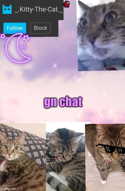 Kitty's Announcement Template | gn chat | image tagged in kitty's announcement template | made w/ Imgflip meme maker