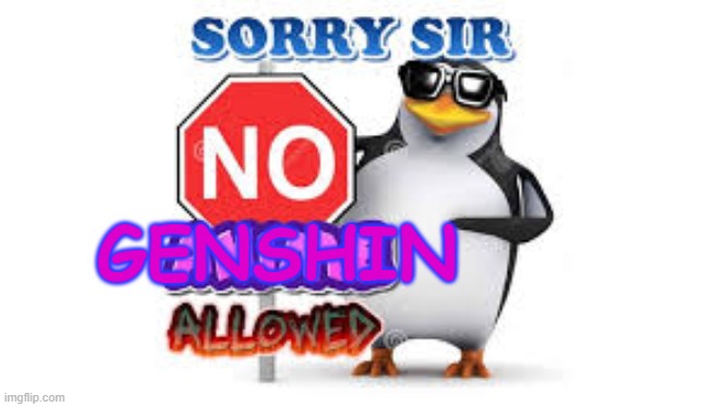 NO Anime Allowed | GENSHIN | image tagged in no anime allowed | made w/ Imgflip meme maker