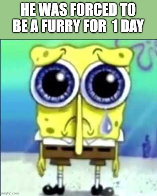 sad spongebob | HE WAS FORCED TO BE A FURRY FOR  1 DAY | image tagged in sad spongebob | made w/ Imgflip meme maker