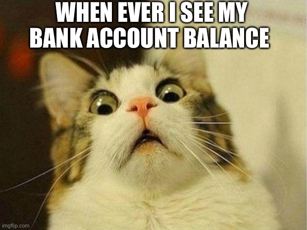Scared Cat | WHEN EVER I SEE MY BANK ACCOUNT BALANCE | image tagged in memes,scared cat | made w/ Imgflip meme maker