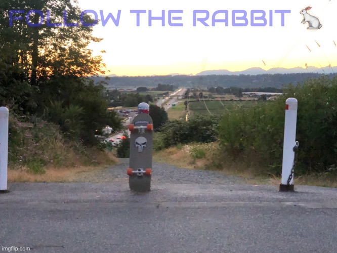 FOLLOW THE RABBIT ? | made w/ Imgflip meme maker