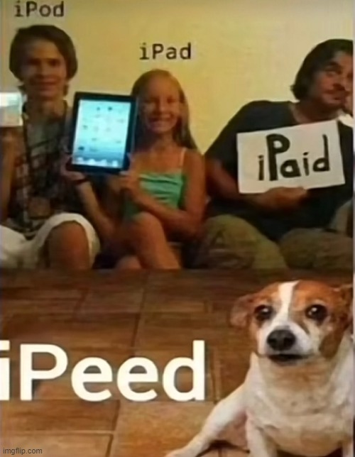 image tagged in memes | made w/ Imgflip meme maker