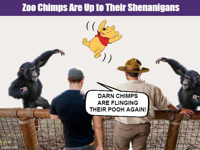 Zoo Chimps Are Up to Their Shenanigans | image tagged in chimpanzee,chimp,winnie the pooh,funny,memes,poop | made w/ Imgflip meme maker