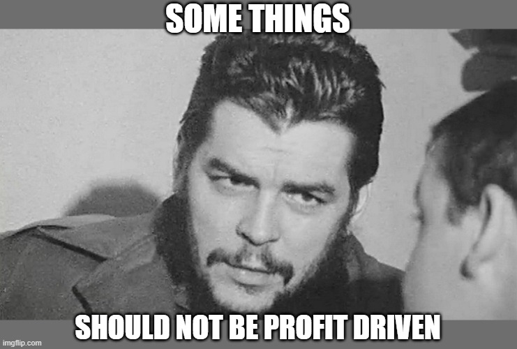 Che | SOME THINGS SHOULD NOT BE PROFIT DRIVEN | image tagged in che | made w/ Imgflip meme maker