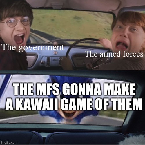 Sonic Chasing Harry and Ron | The government; The armed forces; THE MFS GONNA MAKE A KAWAII GAME OF THEM | image tagged in sonic chasing harry and ron | made w/ Imgflip meme maker