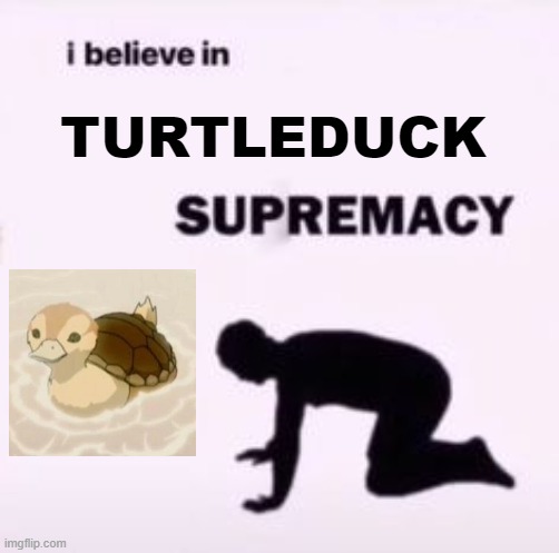 turtleducks are the cutest animal hybrids :) | TURTLEDUCK | image tagged in i believe in supremacy,turtleduck,atla,avatar the last airbender,lok | made w/ Imgflip meme maker