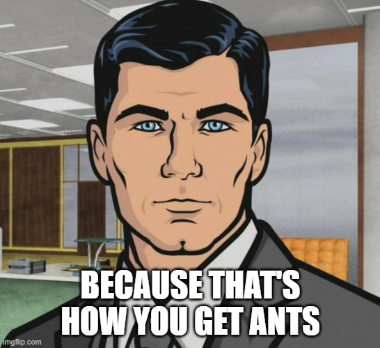 Archer Meme | BECAUSE THAT'S HOW YOU GET ANTS | image tagged in memes,archer | made w/ Imgflip meme maker